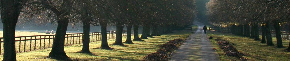 Pointdevue
